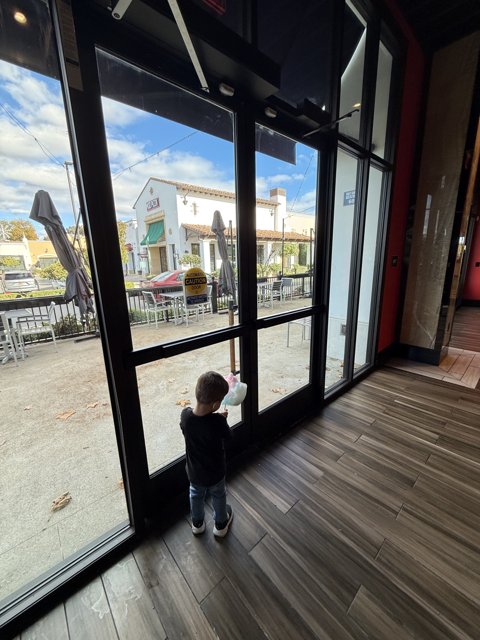 Curiosity at The Veranda