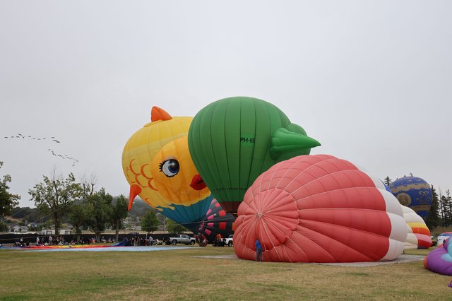 Colorful Novelty Balloons Inflate at Sonoma County Classic