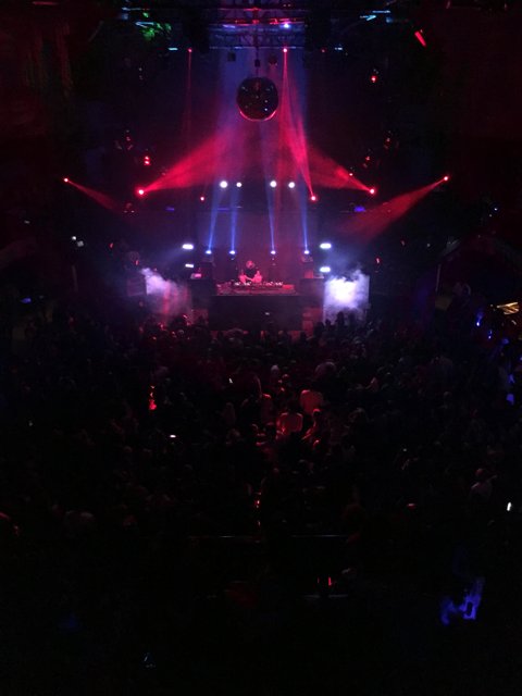 Lights and Music: A Nightclub Concert in LA