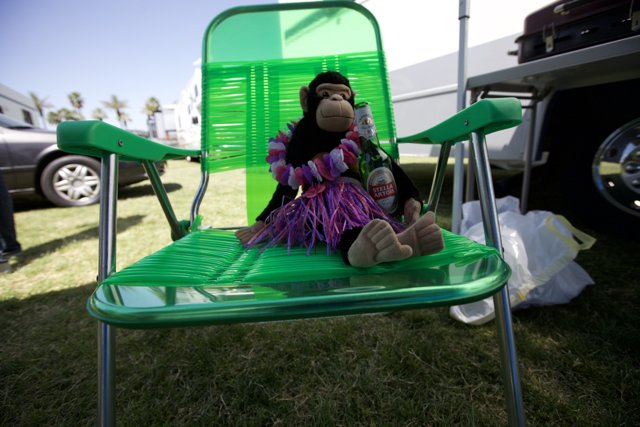 Monkey Business in Coachella