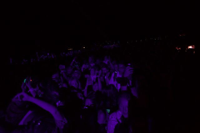 Purple Rave: A Night to Remember