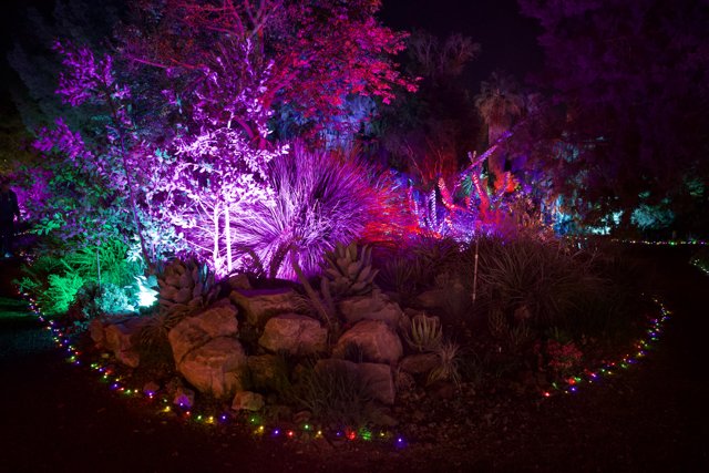 Enchanted Illuminations