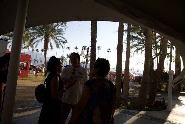 Conversations Amid Coachella Palms