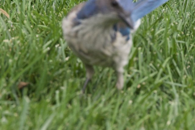 A Moment in Motion
