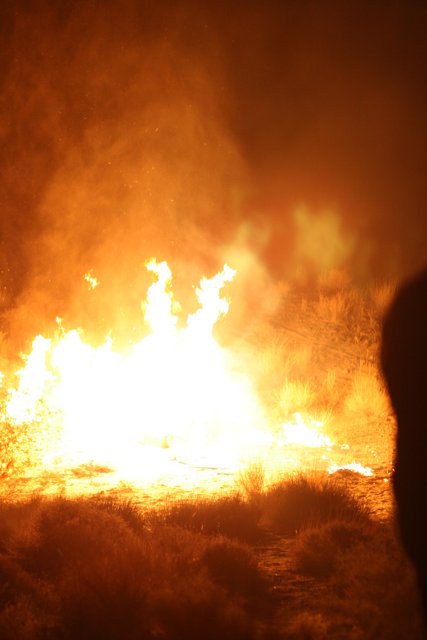 Blazing Bonfire in the Desert Night