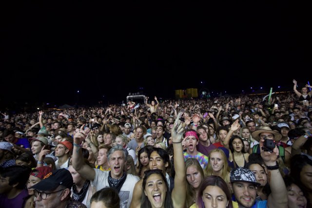 Crowd Goes Wild at Coachella 2016