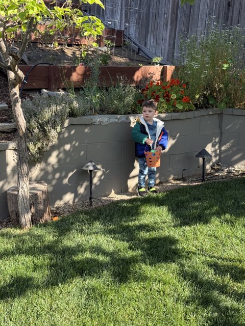 Springtime Wonder