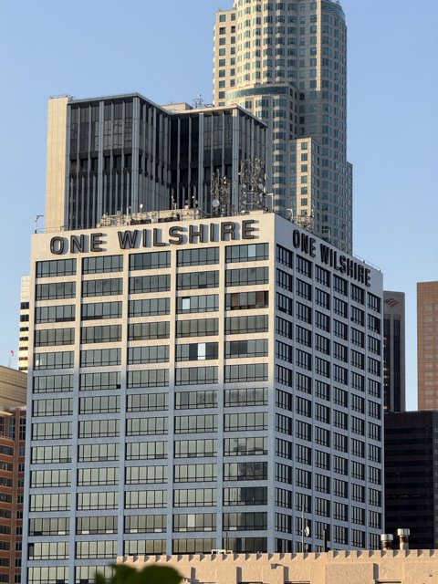 Urban Majesty in Downtown Los Angeles