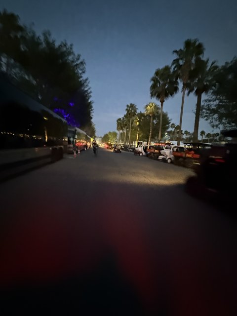 Twilight on the Boulevard