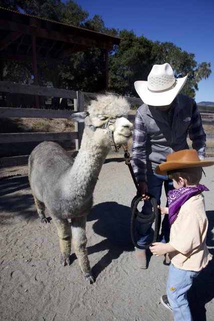 Ranch Adventures with a Llama Friend