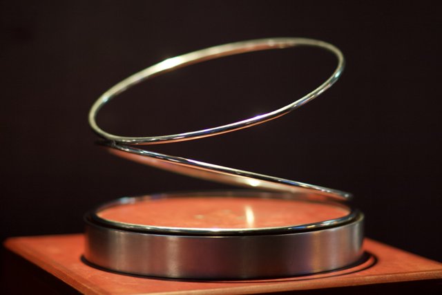 Gleaming Silver Ring on Wooden Stand
