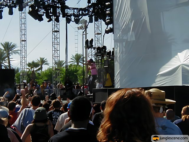 Electrifying Moments at Coachella 2002