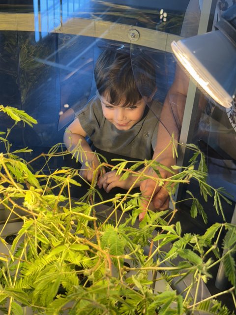 Curious Explorations