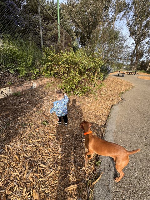 Stroll in the Spring Sun