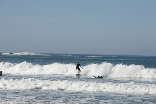 Riding the Pacifica Waves: A Surfing Odyssey
