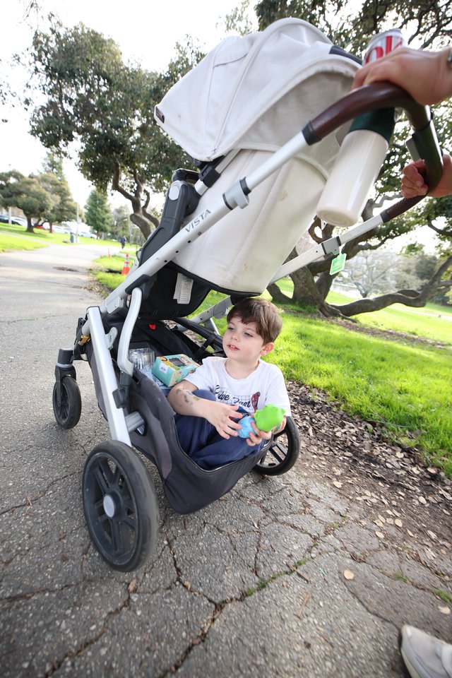 Young Boy in Stroller Enjoying Park Walk