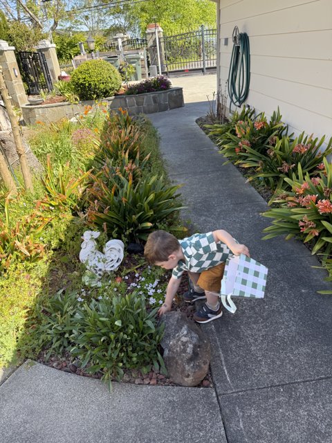 Springtime Discoveries