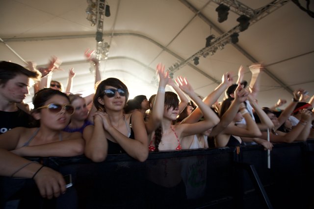 Energetic Crowd at Coachella Music Festival