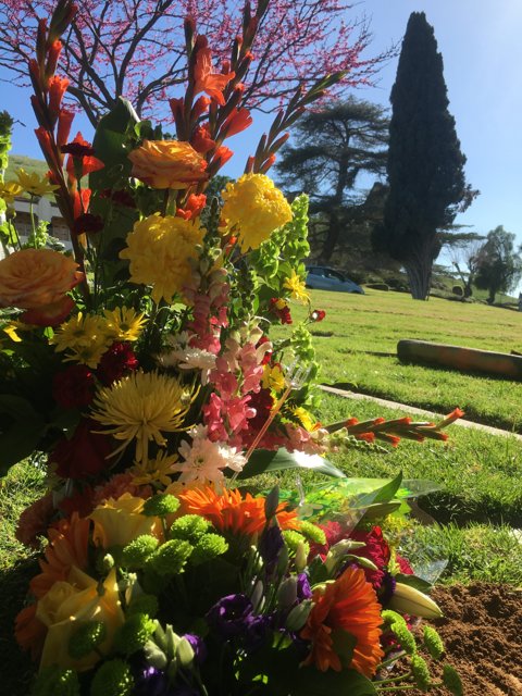 Floral Tribute on a Grave