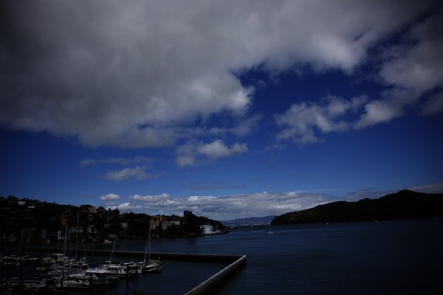 Serene Marina Afternoon in Tiburon