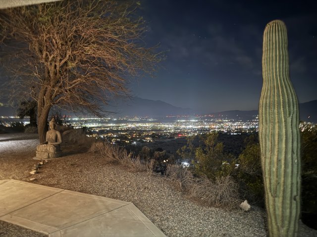 Serenity in the Desert Night