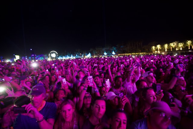 The Glowing Crowd at Coachella