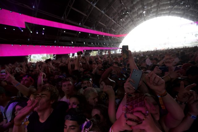Pink Lights & Dazzling Crowds at Coachella