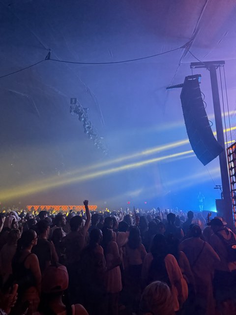Electric Vibes Under the Stars