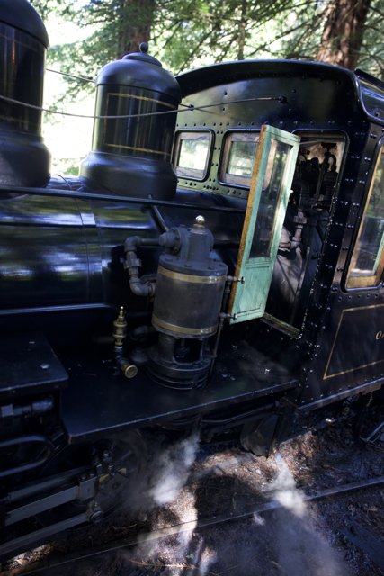Steaming Through Tilden: A Close-Up of Heritage