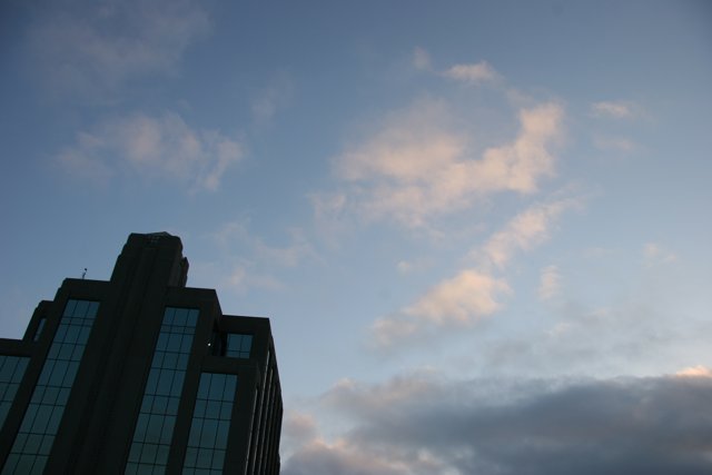 Kite Soaring Above Urban Skyscraper