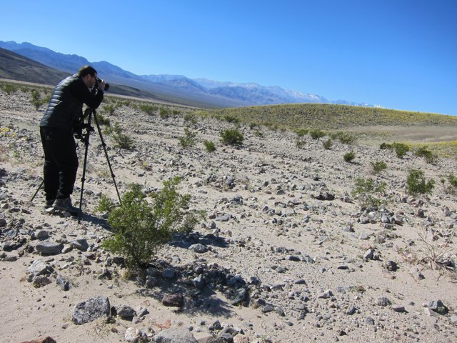 Capturing the Beauty of the Desert