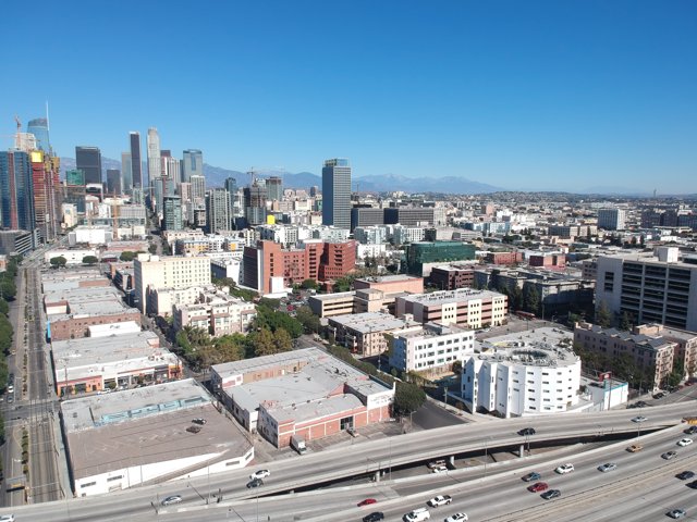 The Thriving Metropolis of Los Angeles