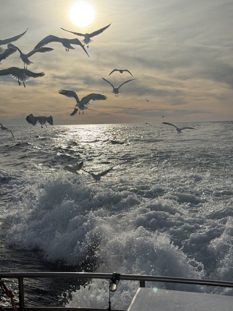 Flight Over the Farallones