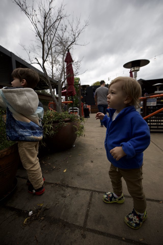 Young Children Exploring a Garden Center on Cloudy Day
