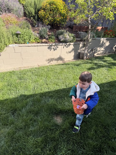 Backyard Baseball Adventure