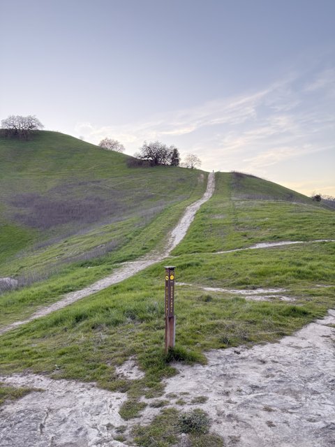 Pathway to Tranquility