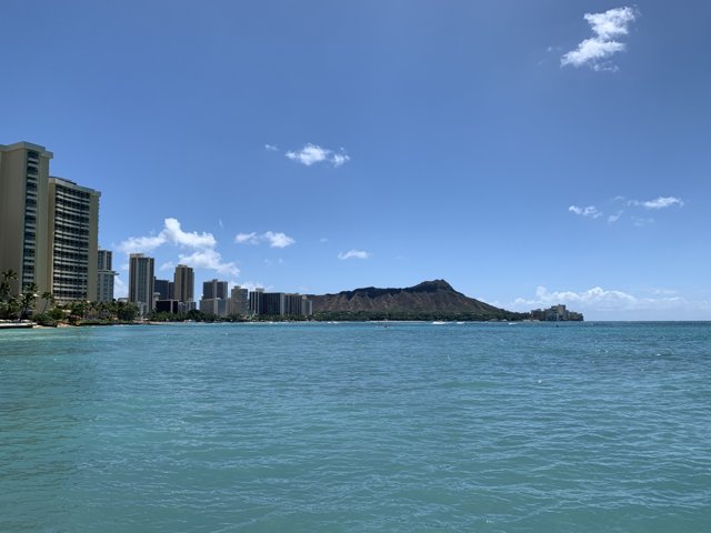 Honolulu Skyline with Ocean View