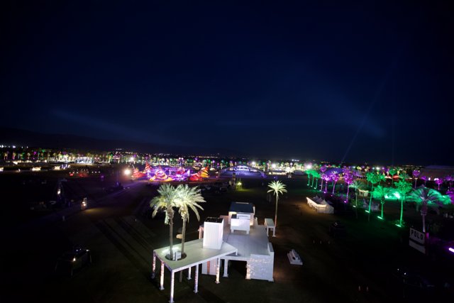 Festival Lights Amongst the Palm Trees