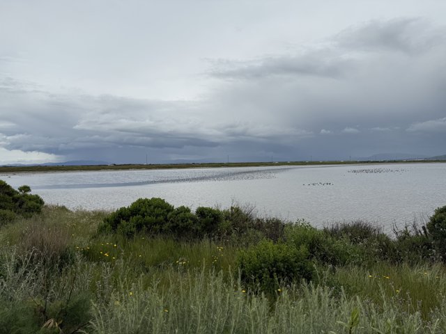 Serenity at San Pablo Bay