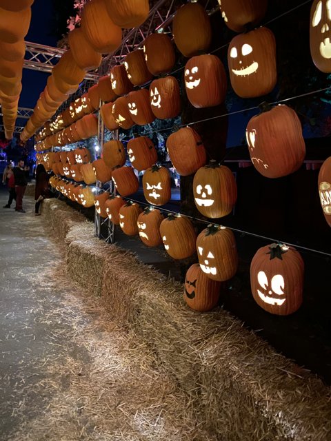 Festive Halloween Lanterns at the Fairgrounds