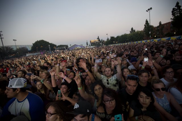 Hands Up at the FYF Bullock 2015 Concert