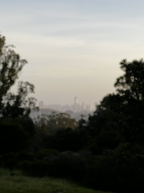 City Skyline in the Mist