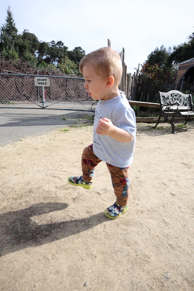 Toddler Running Joyfully Through Sandy Play Area