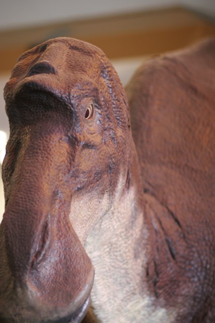 Dinosaur Head Close-Up