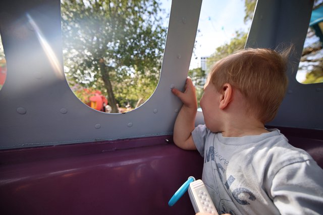Young Child Gazing Through Playground Window