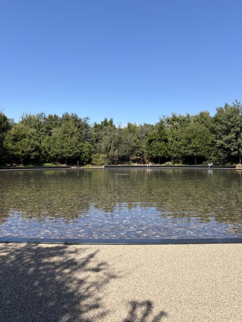 Serenity at Apple Park