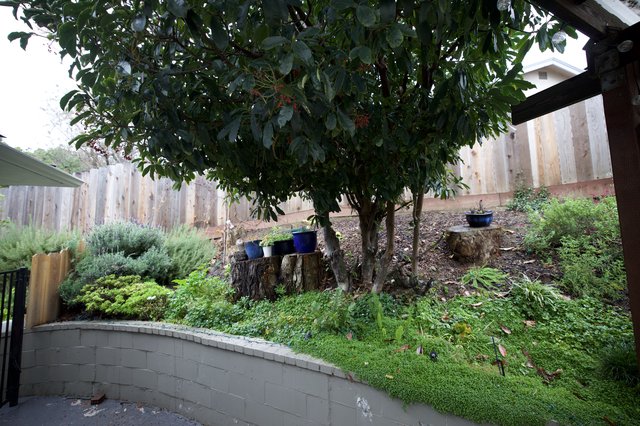 Terraced Garden with Tree Stumps and Blue Pottery