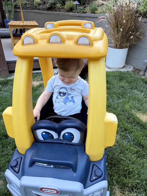 Joyride in the Backyard