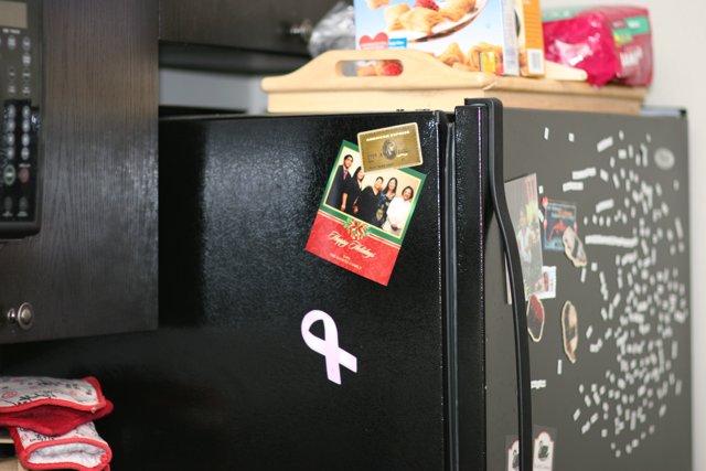 Magnetic Fridge Adds Charm to Kitchen