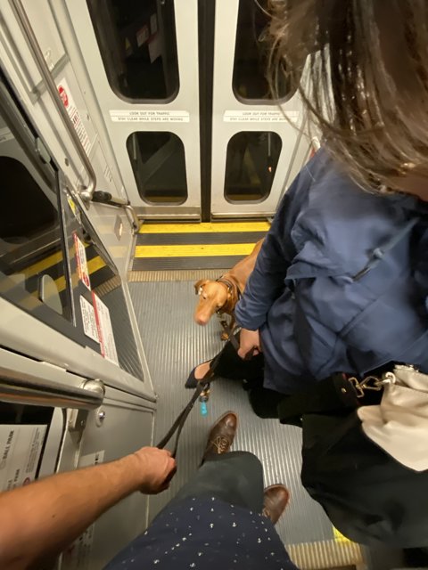 Commuting with Canine Companion